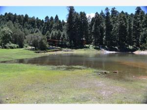 Terreno en venta en Mineral del Monte Centro, Mineral del Monte — foto 2 de 43