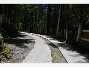 Terreno en venta en Mineral del Monte Centro, Mineral del Monte — foto 3 de 43