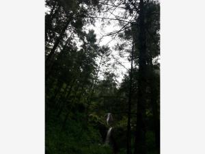Terreno en venta en Mineral del Monte Centro, Mineral del Monte — foto 3 de 91
