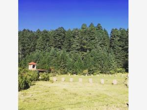 Terreno en venta en Mineral del Monte Centro, Mineral del Monte — foto 2 de 78