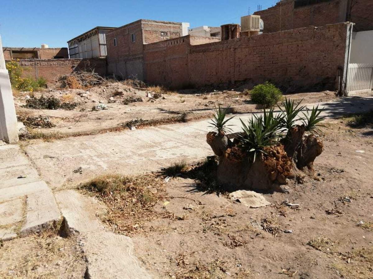 Terreno en venta en Moderna, Torreón — foto 1 de 2