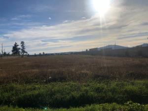 Terreno en venta en San Cayetano, Tepic — foto 2 de 5