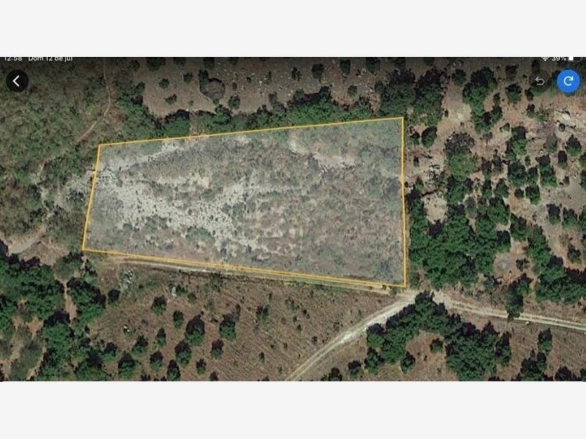 Terreno en venta en El Ahuacate, Tepic — foto 1 de 5