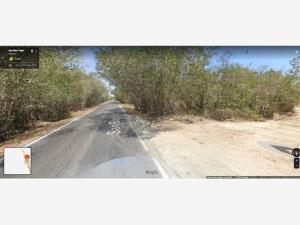 Terreno en venta en Matanchén (La Aguada), San Blas, Nayarit