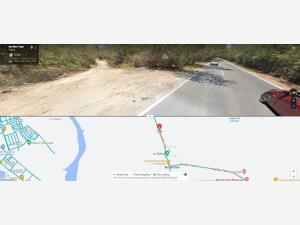 Terreno en venta en Matanchén (La Aguada), San Blas — foto 3 de 4