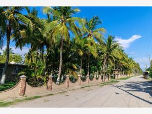 Terreno en venta en Palmar de los Cocos, San Blas — foto 2 de 10