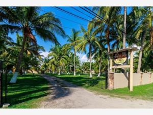 Terreno en venta en Palmar de los Cocos, San Blas — foto 3 de 10