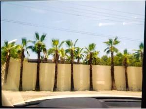 Casa en venta en Tequesquitengo, Jojutla — foto 2 de 4