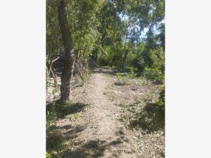 Terreno en venta en Parras de la Fuente Centro, Parras — foto 3 de 9