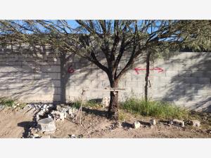 Terreno en venta en Lagos, Torreón — foto 2 de 4