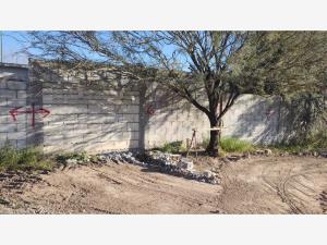 Terreno en venta en Lagos, Torreón — foto 3 de 4