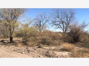 Terreno en venta en Rancho de Afuera, Matamoros — foto 2 de 5
