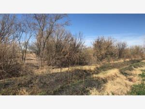 Terreno en venta en Rancho de Afuera, Matamoros — foto 3 de 5