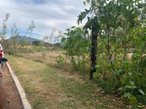 Terreno en venta en Emiliano Zapata Nexatengo, Atlixco — foto 2 de 13