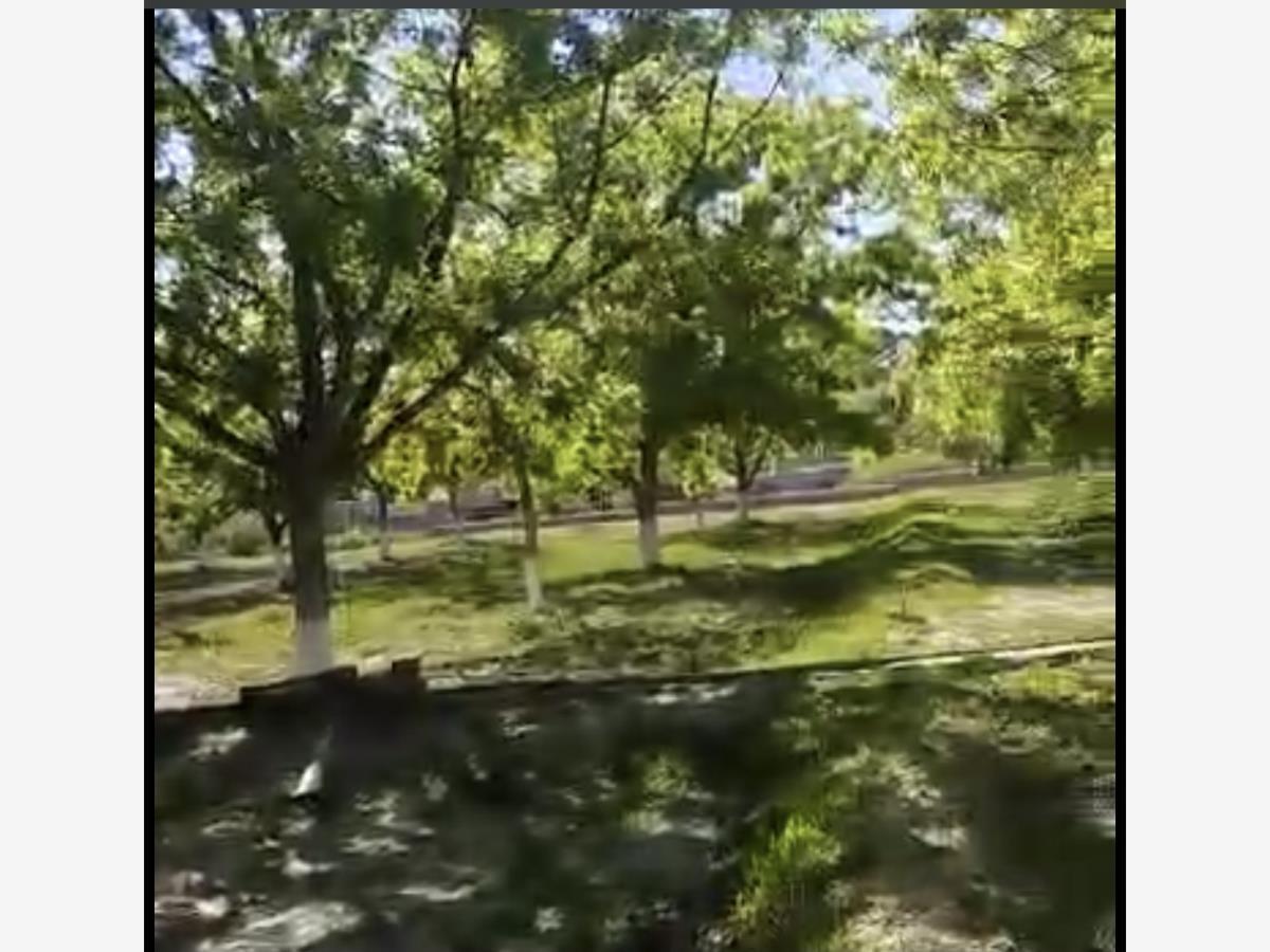 Terreno en venta en Parras de la Fuente Centro, Parras — foto 1 de 16
