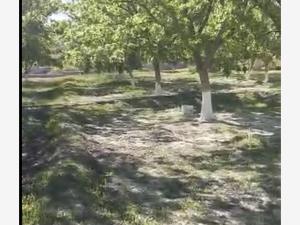 Terreno en venta en Parras de la Fuente Centro, Parras — foto 3 de 16
