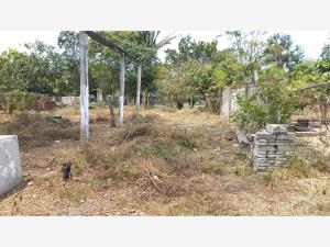Terreno en venta en El Sauce, Manlio Fabio Altamirano — foto 2 de 6
