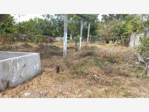 Terreno en venta en El Sauce, Manlio Fabio Altamirano — foto 3 de 6