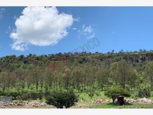 Terreno en venta en San Marcos de Begoña, San Miguel de Allende — foto 2 de 12