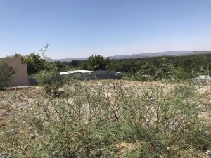 Terreno en venta en Sombreretillo, Parras — foto 2 de 2