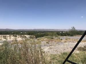 Terreno en venta en Sombreretillo, Parras — foto 3 de 5