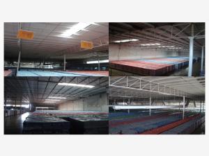 Nave en renta en Parque Industrial Carlos A Herrera Araluce, Gómez Palacio — foto 3 de 12