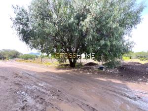 Terreno en venta en Buenavista, Querétaro — foto 3 de 4