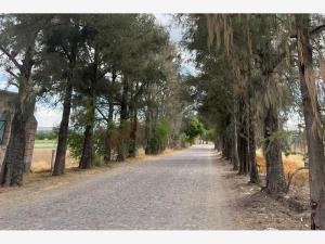 Terreno en venta en La Vivienda de Arriba, San Miguel de Allende — foto 3 de 9