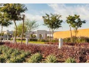 Terreno en venta en El Cardenchal, Torreón — foto 2 de 4