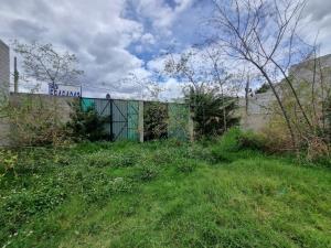 Terreno en renta en Alfredo del Mazo, Ecatepec de Morelos, México