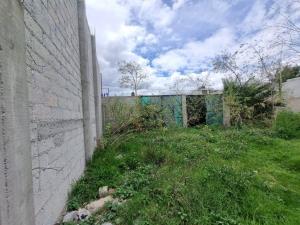 Terreno en renta en Alfredo del Mazo, Ecatepec de Morelos — foto 2 de 9
