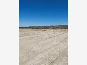 Terreno en venta en Independencia, Parras — foto 2 de 6