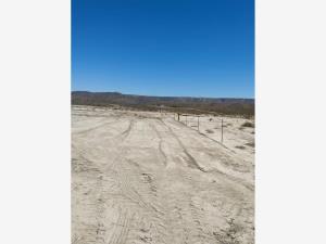 Terreno en venta en Independencia, Parras — foto 3 de 6