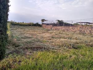 Terreno en venta en Tlayacapan Centro, Tlayacapan — foto 3 de 6