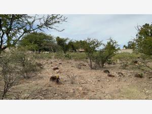 Terreno en venta en Lomas Del Sur, Tlajomulco de Zúñiga — foto 3 de 33