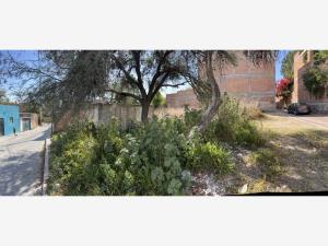 Terreno en venta en Providencia, San Miguel de Allende — foto 2 de 4