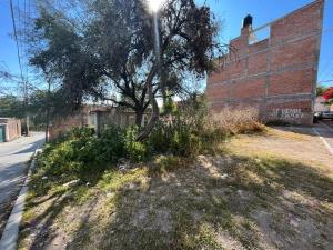 Terreno en venta en Providencia, San Miguel de Allende — foto 3 de 4