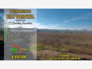 Terreno en venta en El Saucito, Amealco de Bonfil, Querétaro