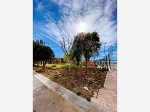 Terreno en venta en La Joya, Arteaga — foto 3 de 7