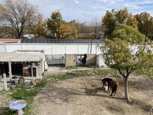 Casa en venta en Parras de la Fuente Centro, Parras — foto 2 de 26