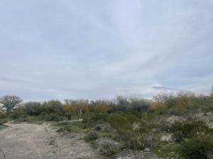 Terreno en venta en Las Tres Lomas, Parras — foto 2 de 6