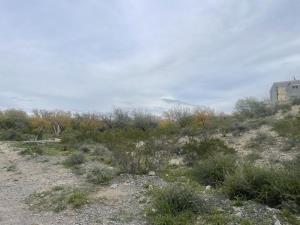 Terreno en venta en Las Tres Lomas, Parras — foto 3 de 6