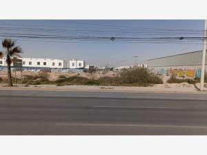 Terreno en renta en El Castaño, Torreón — foto 3 de 9