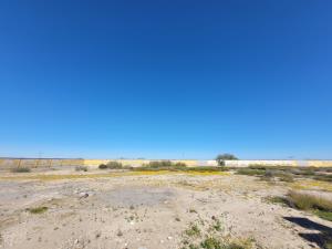 Terreno en venta en Parras, Parras — foto 2 de 9