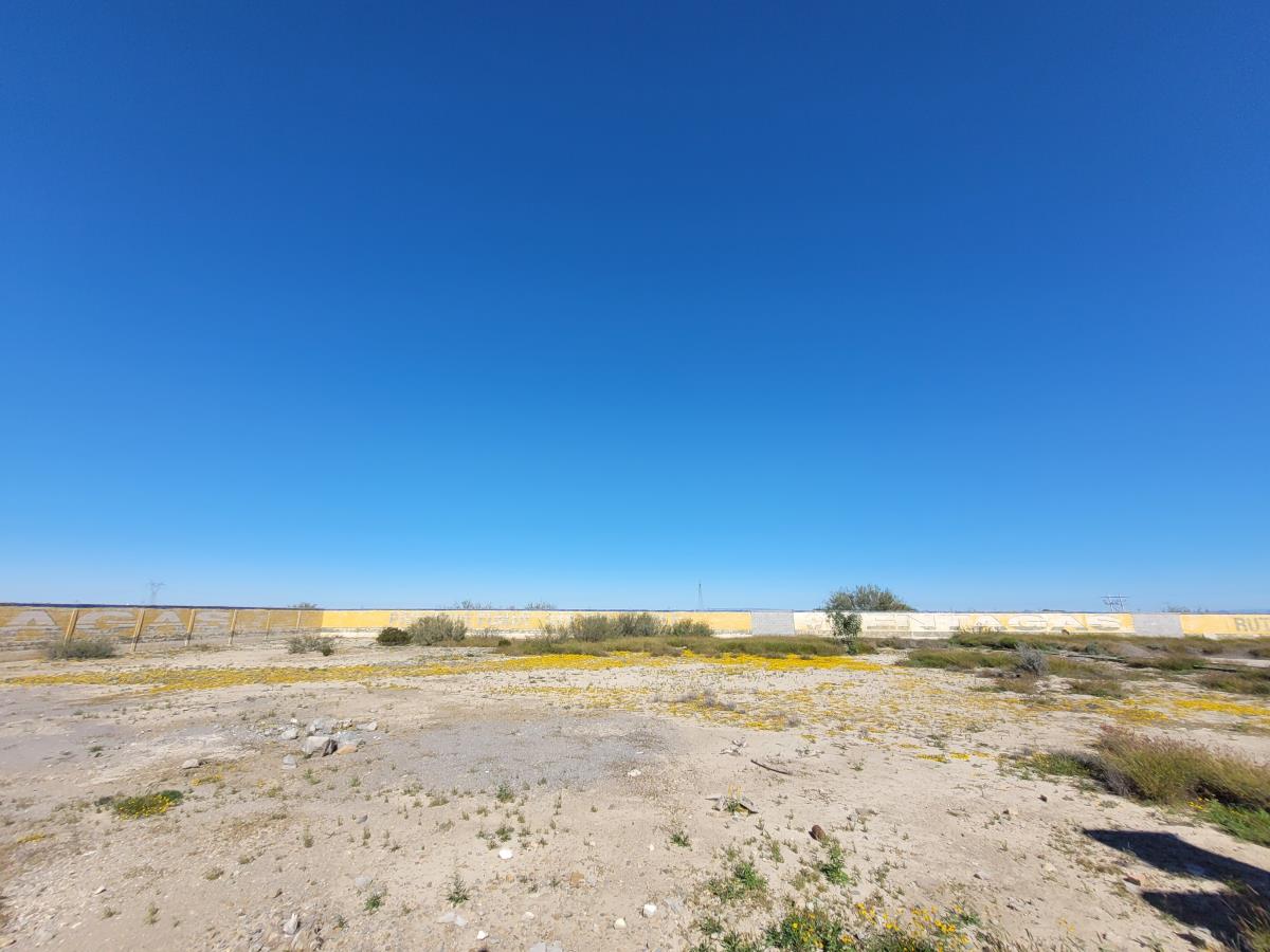 Terreno en venta en Parras de la Fuente Centro, Parras — foto 1 de 10