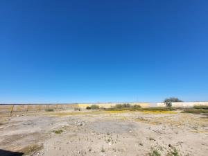 Terreno en venta en Parras de la Fuente Centro, Parras — foto 2 de 10