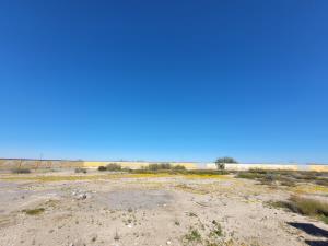 Terreno en venta en Paila, Parras — foto 2 de 10