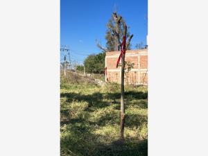 Terreno en venta en Chapala Centro, Chapala — foto 3 de 5