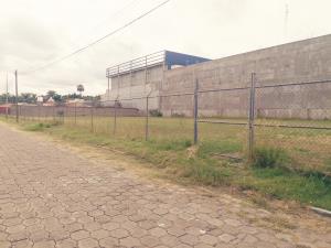 Terreno en venta en La Moraleda, Atlixco — foto 2 de 6
