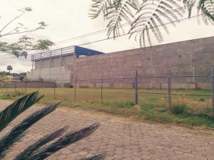 Terreno en venta en La Moraleda, Atlixco — foto 3 de 6